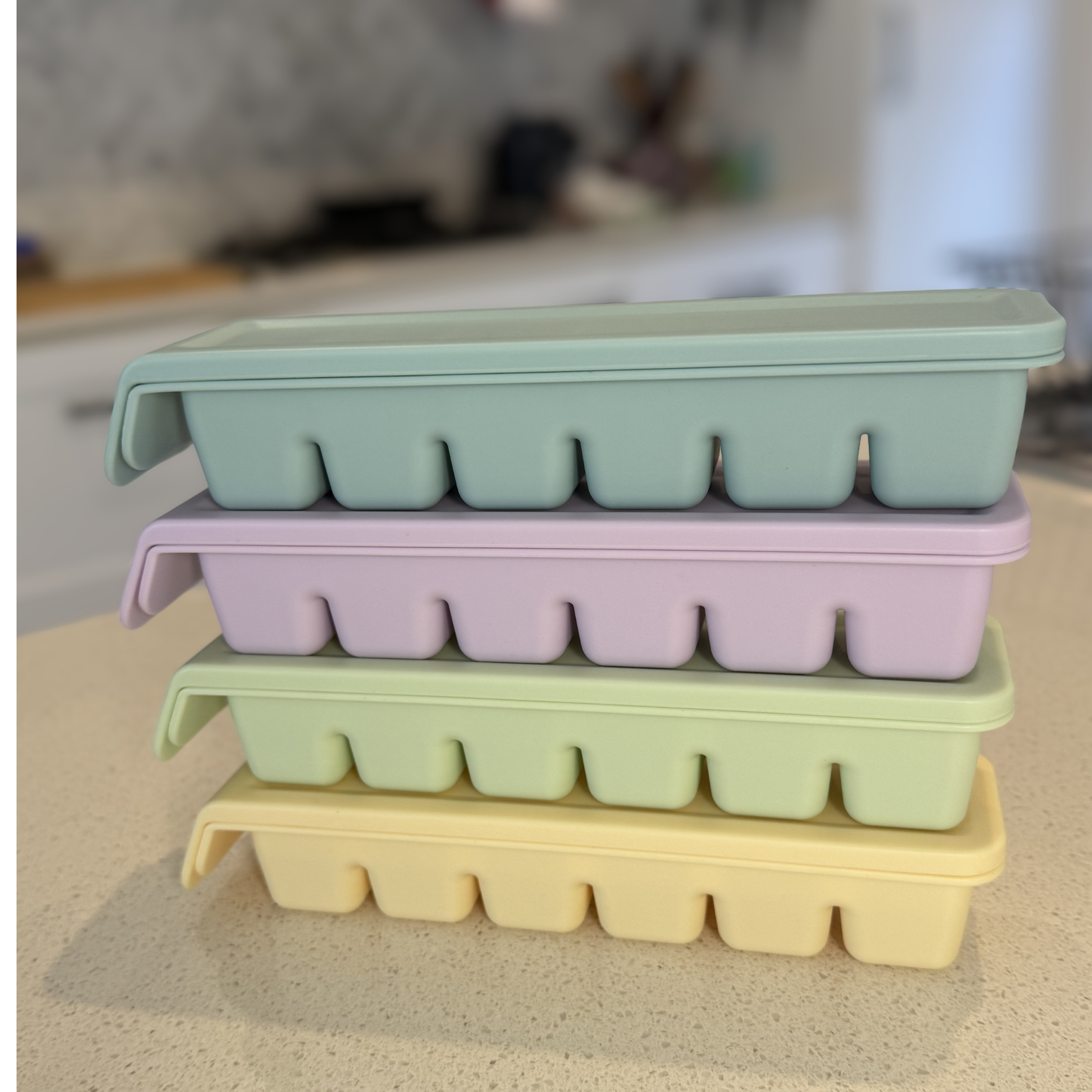Frezie Pods – 6 Portion Freezer Mould