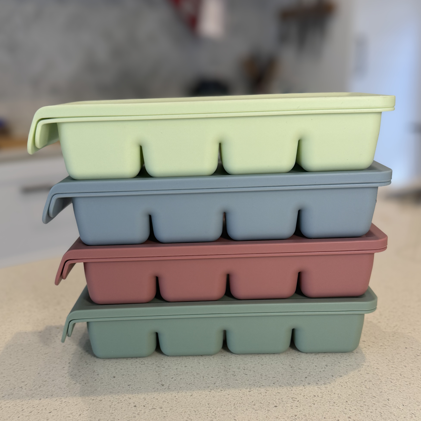 Frezie Pods – 4 Portion Freezer Mould