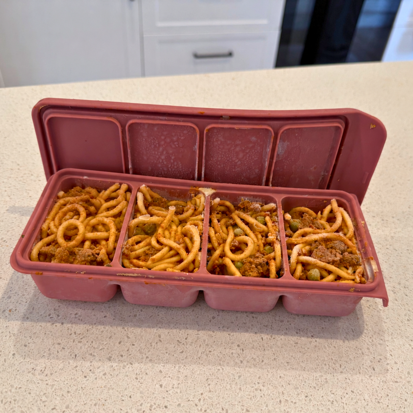 Frezie Pods – 4 Portion Freezer Mould